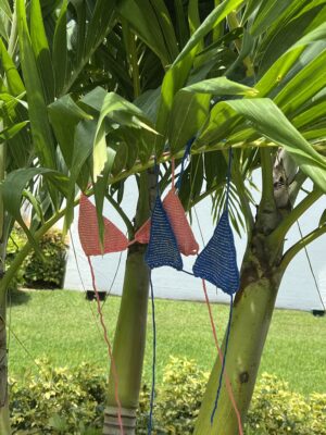 Bimini Bikini Bottoms